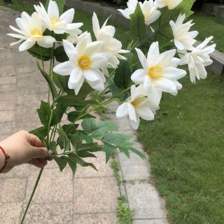 Hoa Dã Quỳ lụa cách tân đẹp