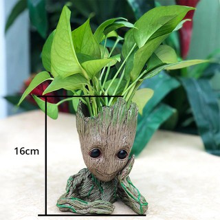 Chậu cây bé Groot Độc Đáo