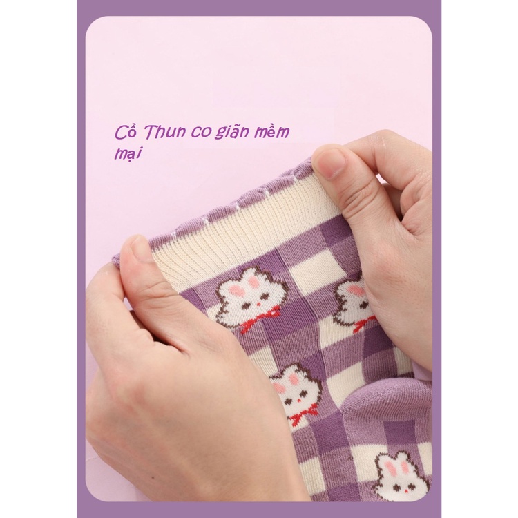 Vớ Cho Bé Gái (Set 5 Đôi) - Tất Cho Bé Gái Bé Trai - Thoáng Khí Mềm Mịn