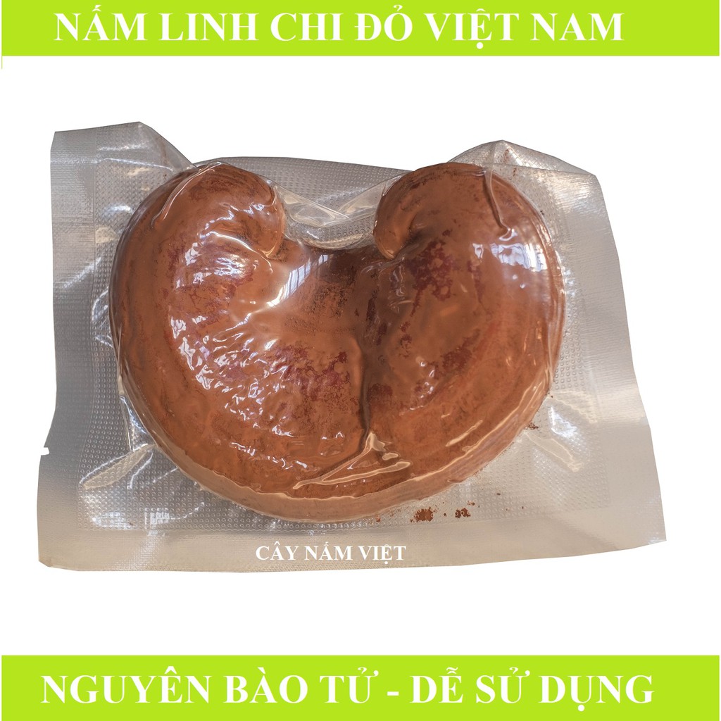 Nấm linh chi đỏ Việt Nam nguyên bào tử dễ uống - Cây Nấm Việt