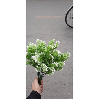 1 cụm cỏ điểm.