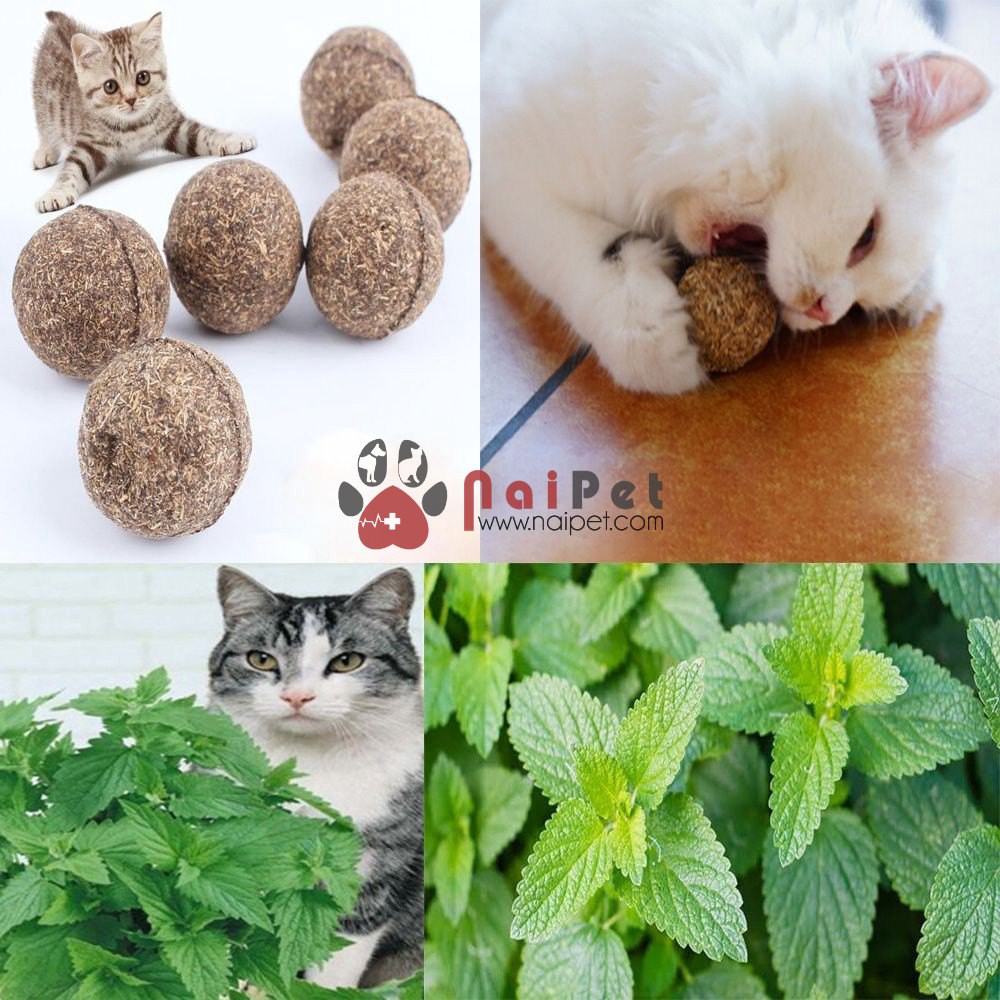 Cỏ Catnip Cỏ Bạc Hà Viên Nén Cho Mèo CCN006