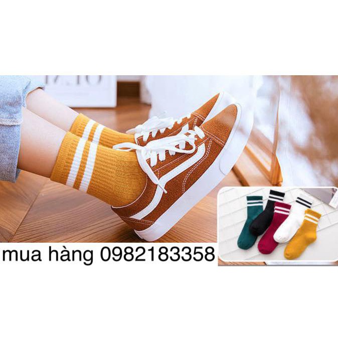 set 15 đôi tất kẻ hàn quốc nữ