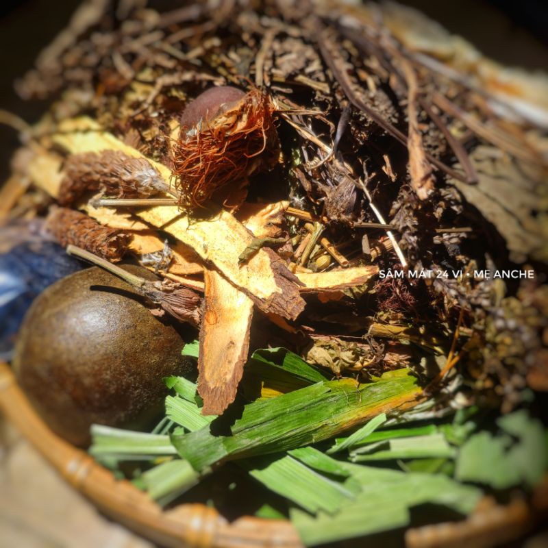 Sâm 24 vị phần nấu 10 lít sâm meanche