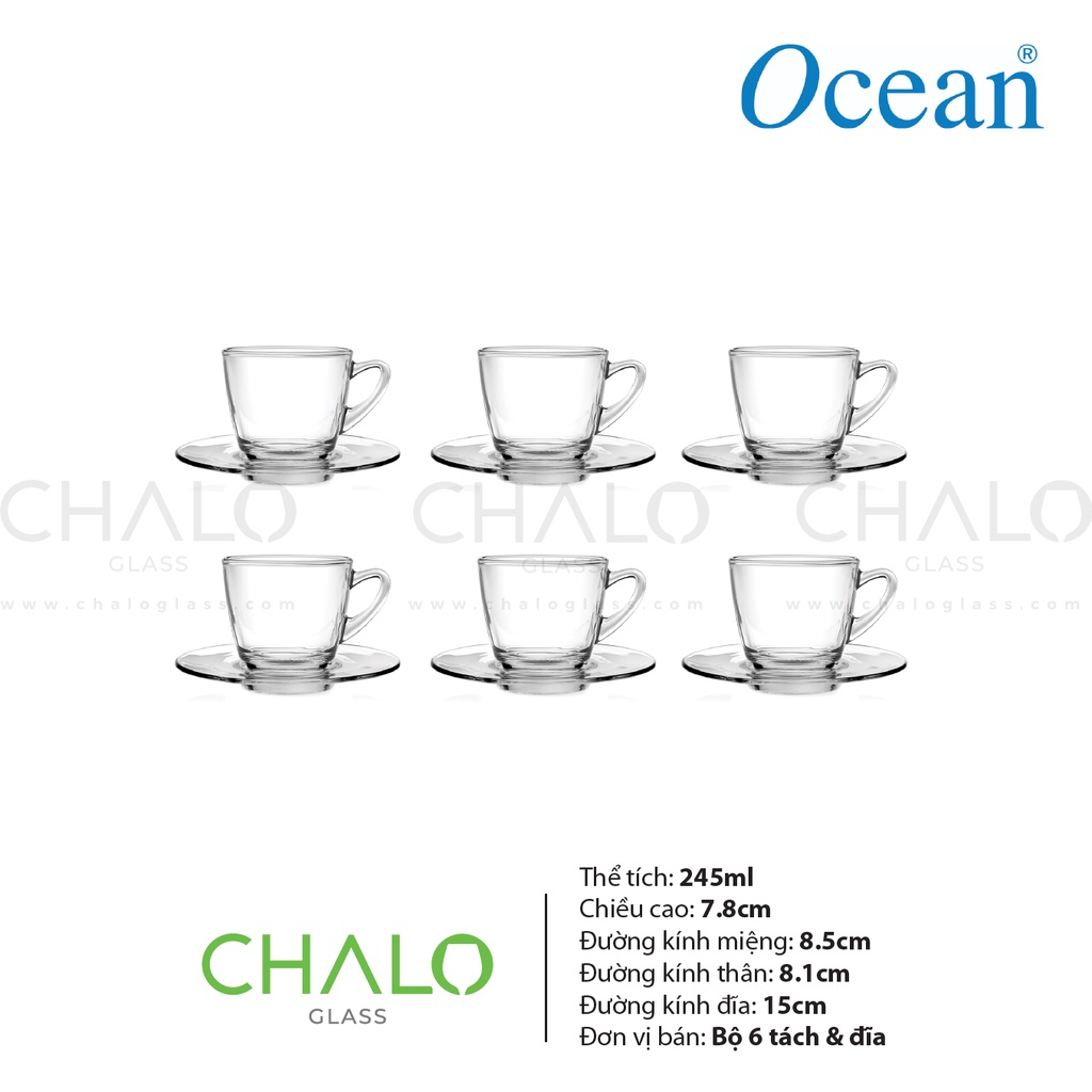 Tách đĩa thủy tinh Ocean Kenya Cup - 245ml - P01641 [Bộ 06 tách đĩa chính hãng - Made in Thailand]