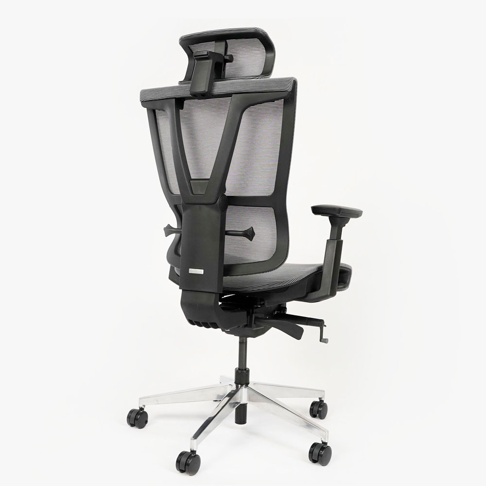 Ghế công thái học ergonomic Epione ErgoChair Pro (Cool Gray / Dark Gray / All Black) (Hàng chính hãng)