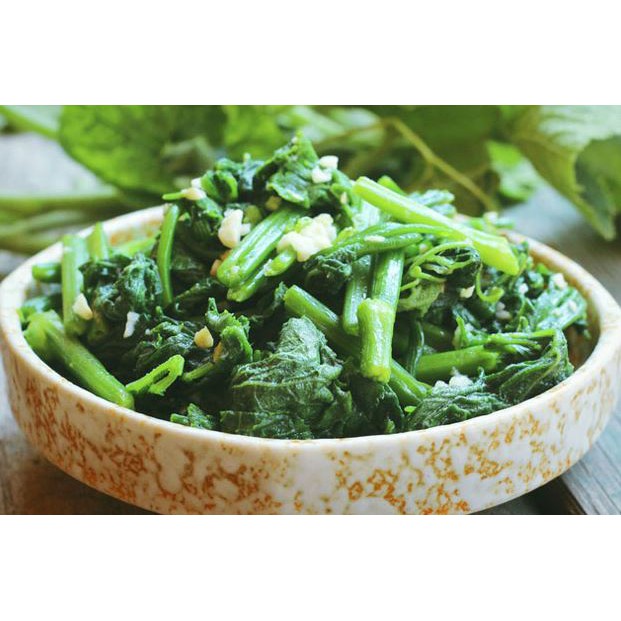 Hạt Giống Bí Siêu Ngọn Mập  - Dễ Trồng, Dinh Dưỡng, Năng Suất Cao - MUA 3 TẶNG 1 CÙNG LOẠI