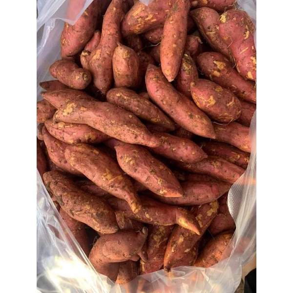 👉 1kg Khoai Lang mật TÀ NUNG