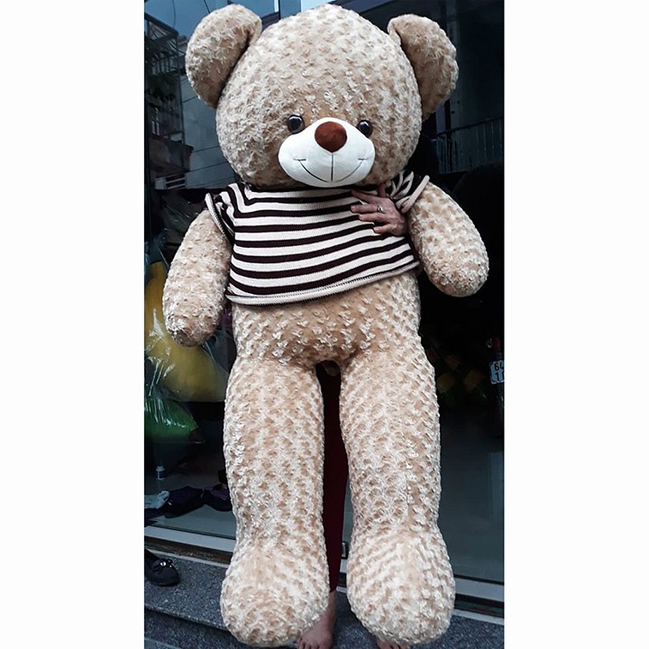 [Hoàn 50K Xu] Gấu Bông Teddy cỡ lớn Khổ vải 1m8 cao 1m6 hàng cao cấp