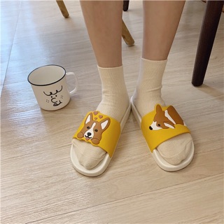 Dép chú chó corgi