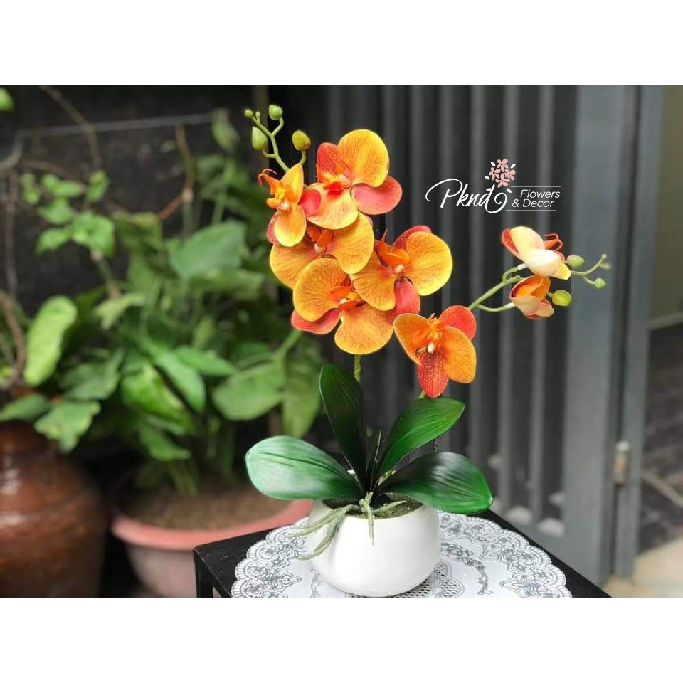 Chậu hoa giả lan cao su hai nhánh trang trí đẹp PKND FLOWERS & DECOR CH68