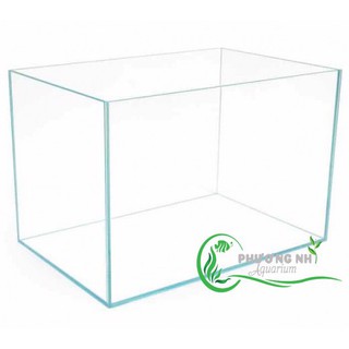 Hồ siêu trong 60x30x36 (dài x rộng x cao kính 5li ) giao tại HCM