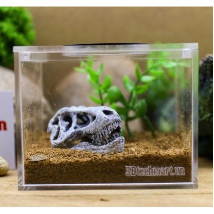 Hộp nuôi nhện size Sling 10-8-8cm cao cấp