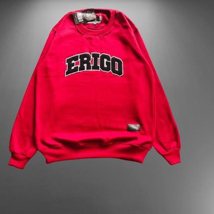 Áo Nỉ Cổ Tròn Dài Tay In Chữ Erigo Ergterlaris 6.6 | BigBuy360 - bigbuy360.vn