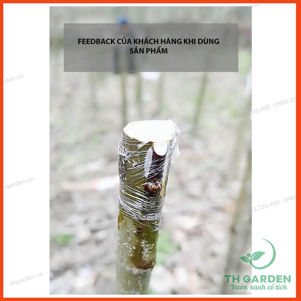 Băng Keo Ghép Cây 5cm*150m - Tự Dính Tự Hủy giúp bảo vệ mối ghép, nhanh liền - Tăng tỷ lệ sống của mối cây ghép