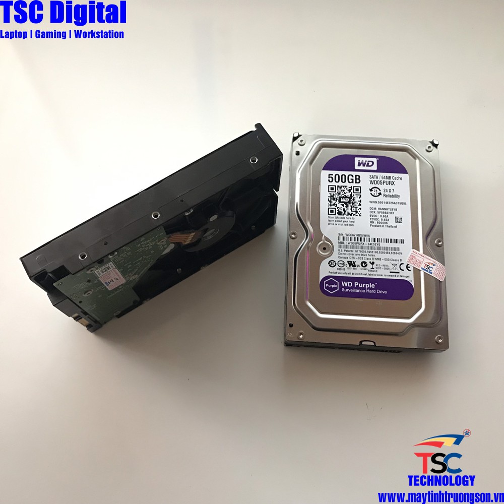 Ổ Cứng HDD 500Gb Western Purple (Tím) Dùng Cho Máy Tính Bàn Và Camera | Bảo hành 24 Tháng