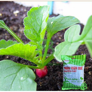 Phân Trùn Quế LAVAMIX 2kg