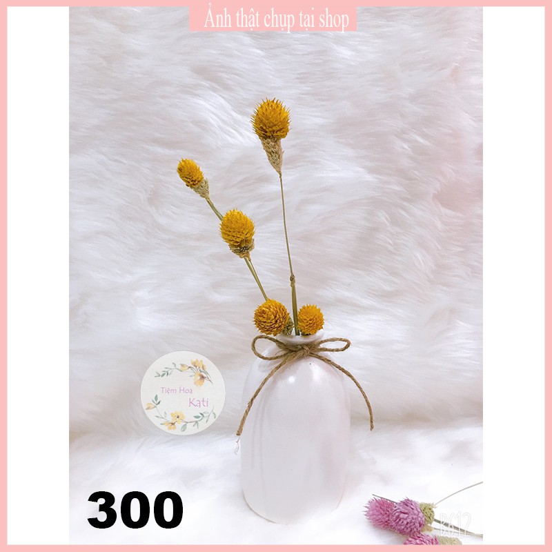 Hoa khô - THIÊN NHẬT - Decor-  trang trí cafe, trà chanh, trà sữa, quán ăn, hoa baby.
