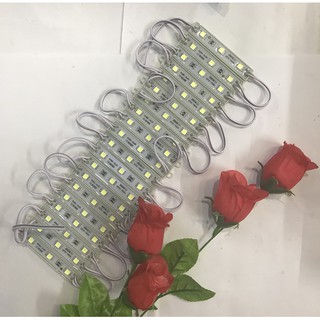 Sale - combo 20 modul 3 bóng 5050 trắng sáng, chíp hg loại tốt