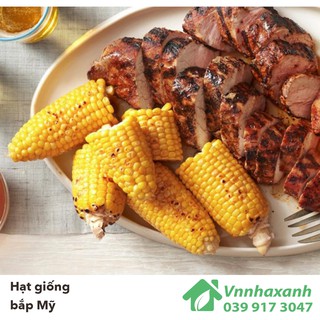 Hạt Giống Bắp Mỹ - Bantam