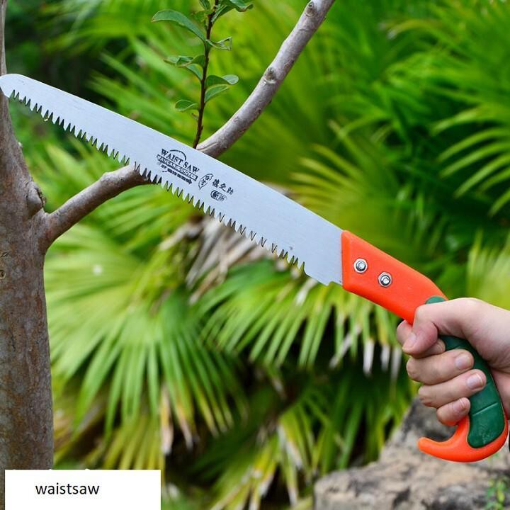 Cưa cắt cành cây