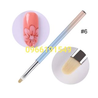 Cọ vẻ hoa cúc số 6
