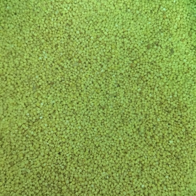 Kê vàng, kê nếp(túi 500gr)
