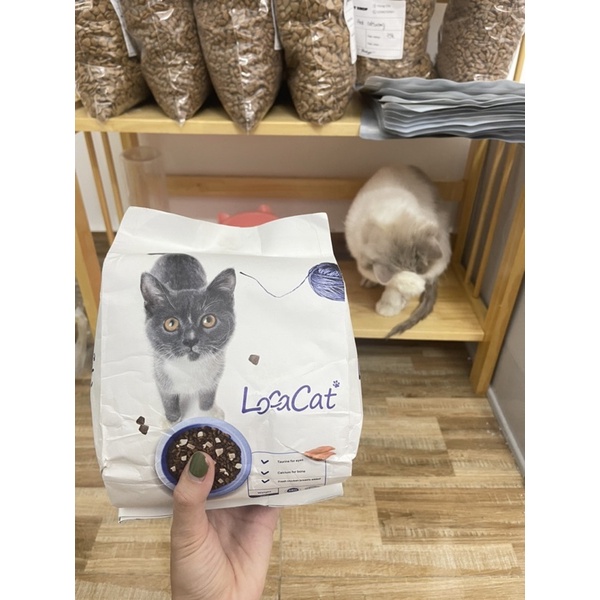 Hạt Locacat dành cho mèo có trộn ức gà tươi sấy lạnh túi 0.91kg