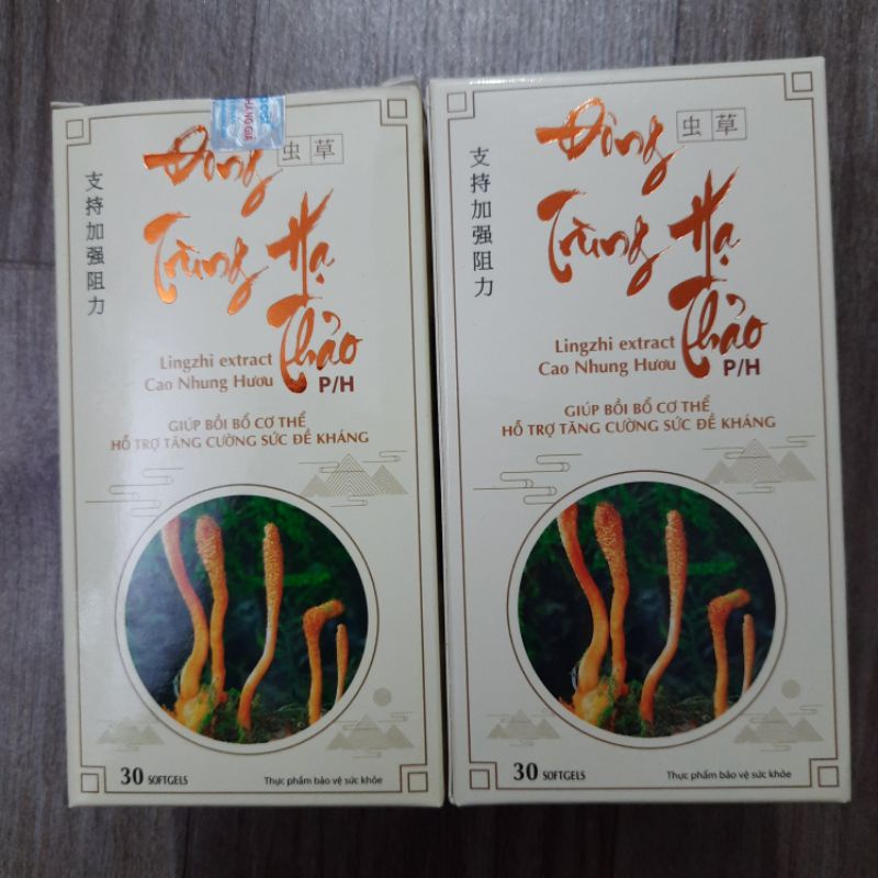 Viên uống ĐÔNG TRÙNG HẠ THẢO P/H - Tăng cường đề kháng, bổ sung dưỡng chất cho cơ thể_Hộp 30 viên