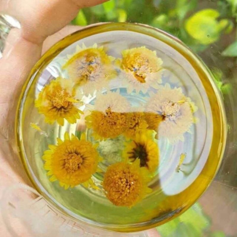 1 viên Trà hoa cúc đường phèn mật ong ( đường phèn vàng )