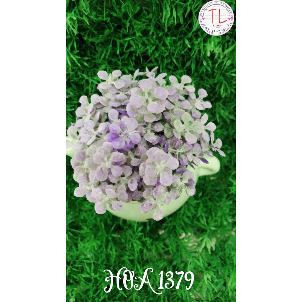 Bình hoa trà xinh xắn - Chậu hoa trang trí