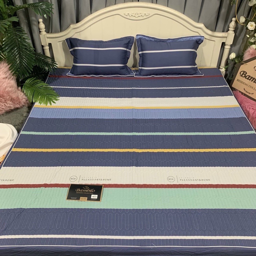 Set Ga Cotton Chun Trần Bông Bambiloo Cao Cấp Kèm Hai Vỏ Gối | BigBuy360 - bigbuy360.vn