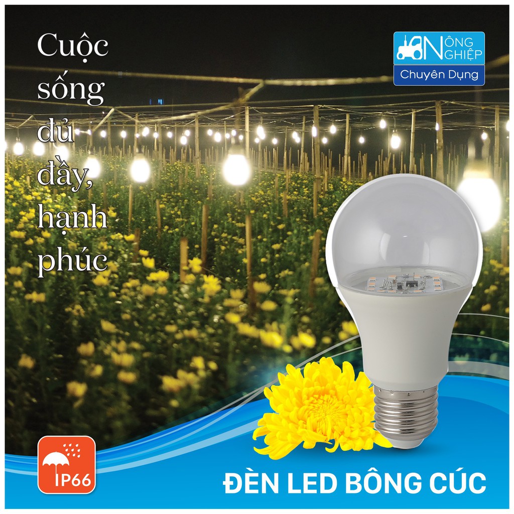Bóng đèn LED dùng cho vườn hoa cúc tiết kiệm điện năng Rạng Đông model LED HC A60