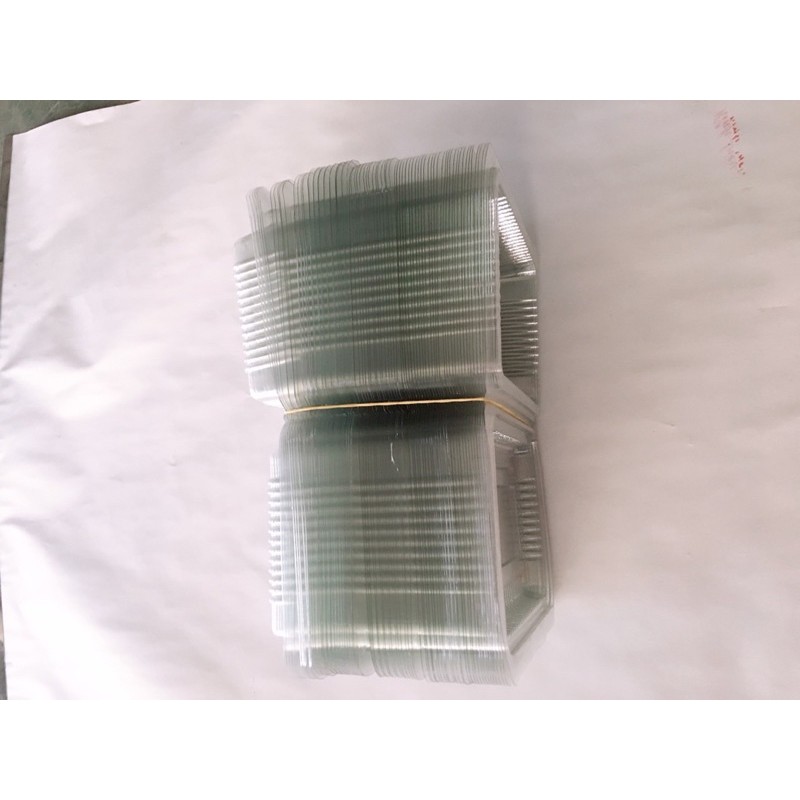 2000 hộp nhựa đựng bánh trôi H21