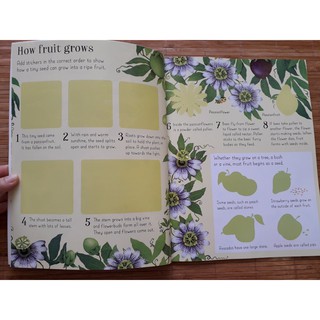 Đồ chơi - Usborne sticker book 1