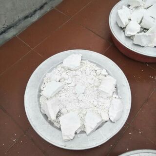 Sắn dây ta nhà tự trồng tự làm