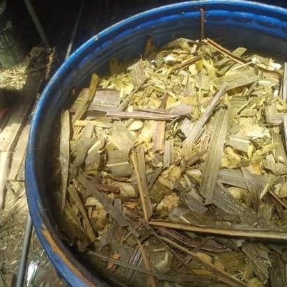 Men ủ vi sinh thảo dược, làm chín thức ăn chăn nuôi BIO-MEN