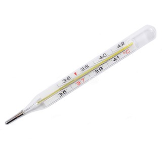 Nhiệt kế thủy ngân Made In Germany