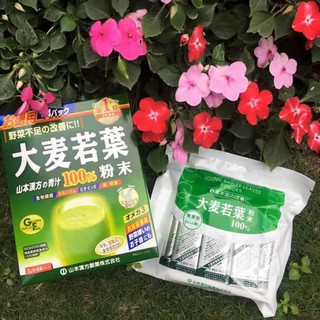Bột Mầm Lúa Mạch Non Grass Barley Nhật Bản 3g x 44 gói nhỏ - Bột lúa non