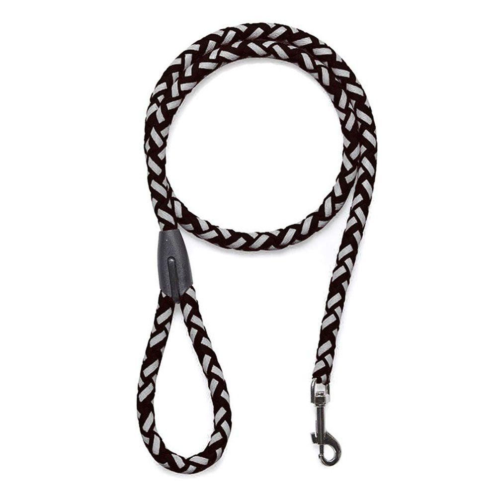 Bộ Dây Dắt Và Dây Dắt Đi Dạo Bằng Nylon Bện Phản Quang