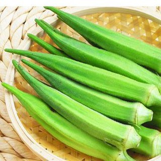 10gr hạt giống đậu bắp xanh