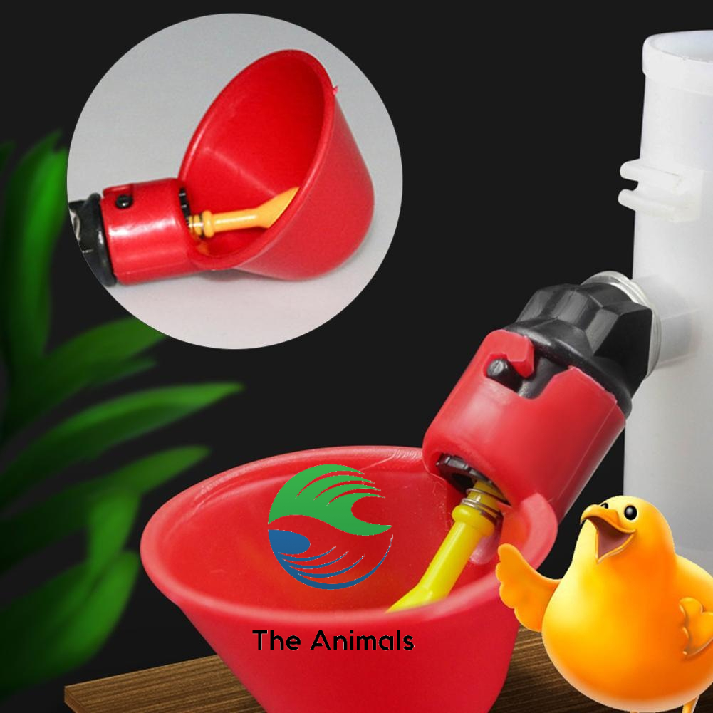 [COMBO 100 CÁI] Máng uống nước tự động cho gà - Cốc uống nước cho gà - Bát uống nước cho gà