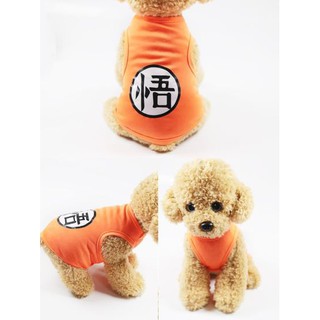 Quần Áo Chó Mèo - Thú Cưng