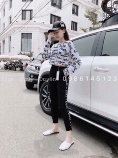 Áo croptop chữ