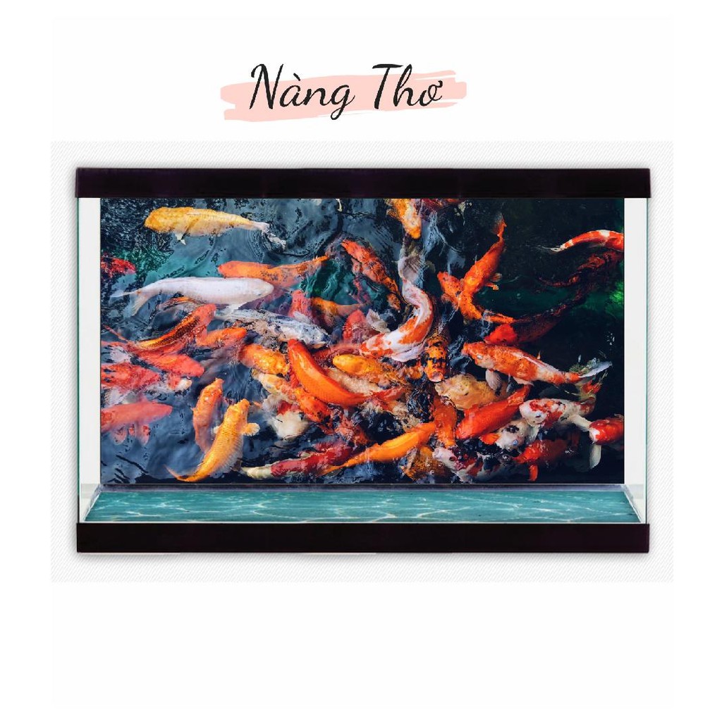 TRANH DECAL HÌNH CÁ KOI 3D DÁN HỒ CÁ NHIỀU KÍCH THƯỚC _THIẾT KẾ NÀNG THƠ