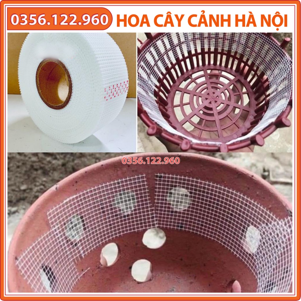 Băng dính lưới thạch cao bản 5cm, lưới lót chậu lan tránh rơi vãi giá thể