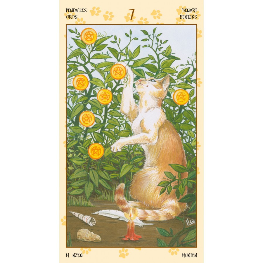 Bộ Bài Tarot of Pagan Cats (Mystic House Tarot Shop)