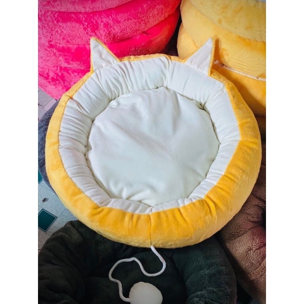 Nệm cho mèo dễ thương