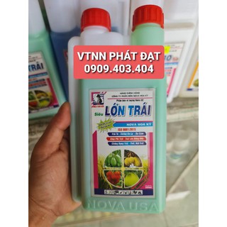 Phân bón lá cao cấp siêu lớn trái