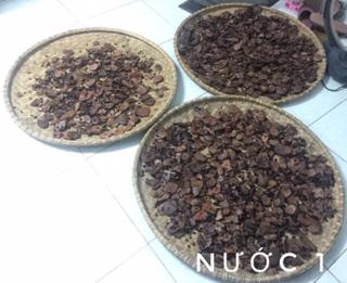 HÀ THỦ Ô ĐỎ CHẾ ĐỖ ĐEN